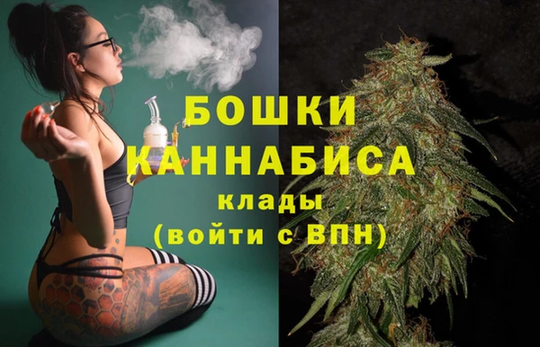 дживик Елизово