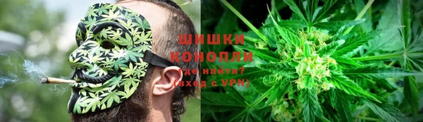 гидропоника Елабуга