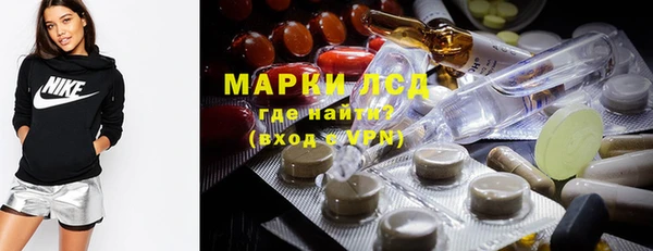гидропоника Елабуга